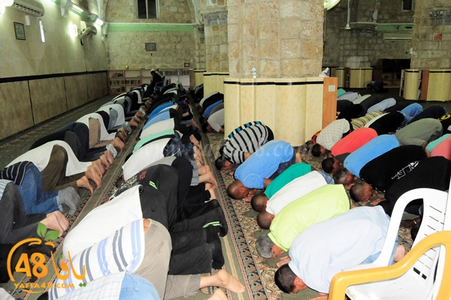 trawe7 ramla kaber (23).JPG